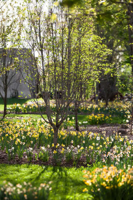 Digging Deeper: The Garden and the House, an Immutable Relationship